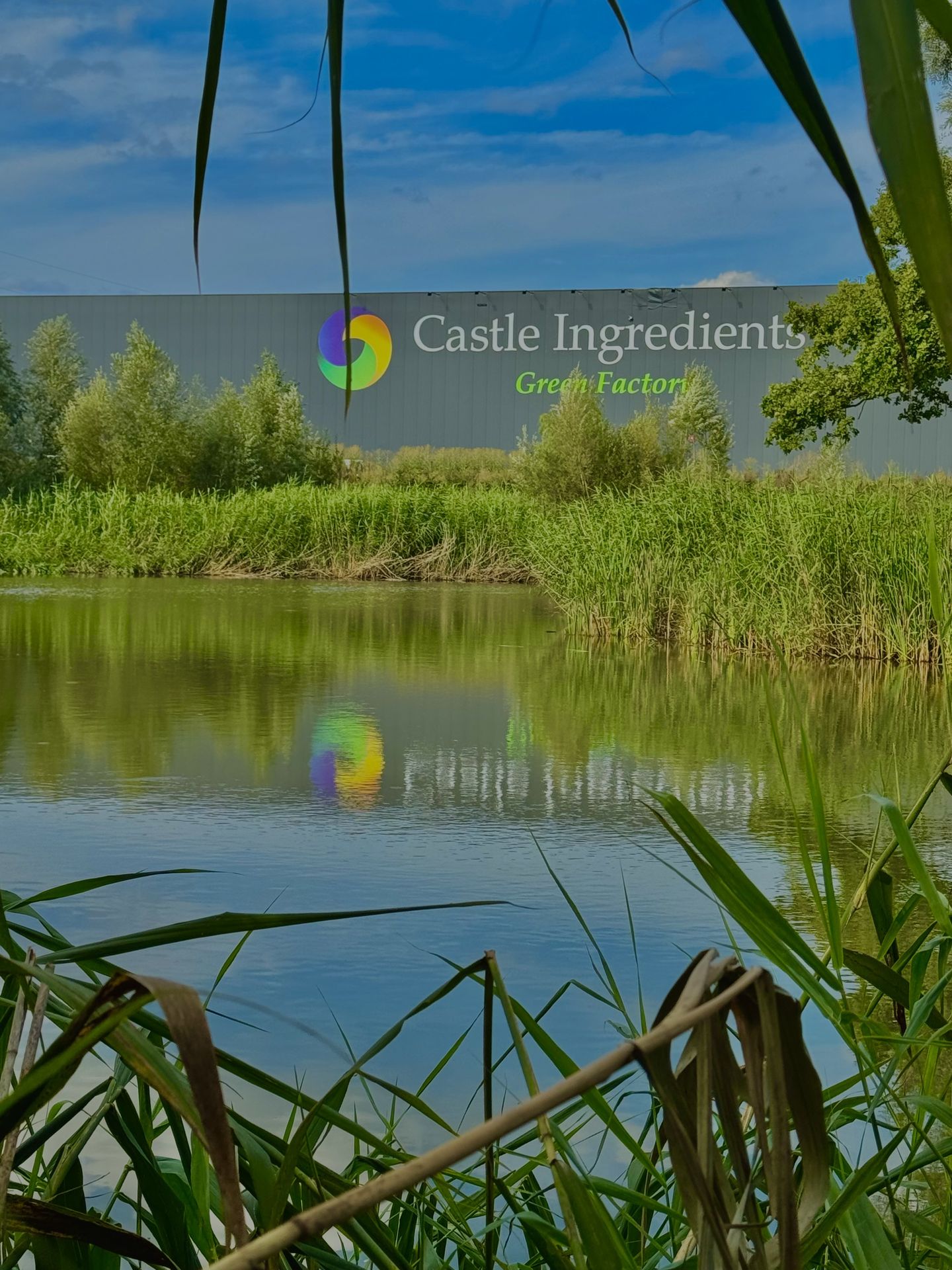 Castle Group: Belgian Family-Owned Food Ingredient Solutions