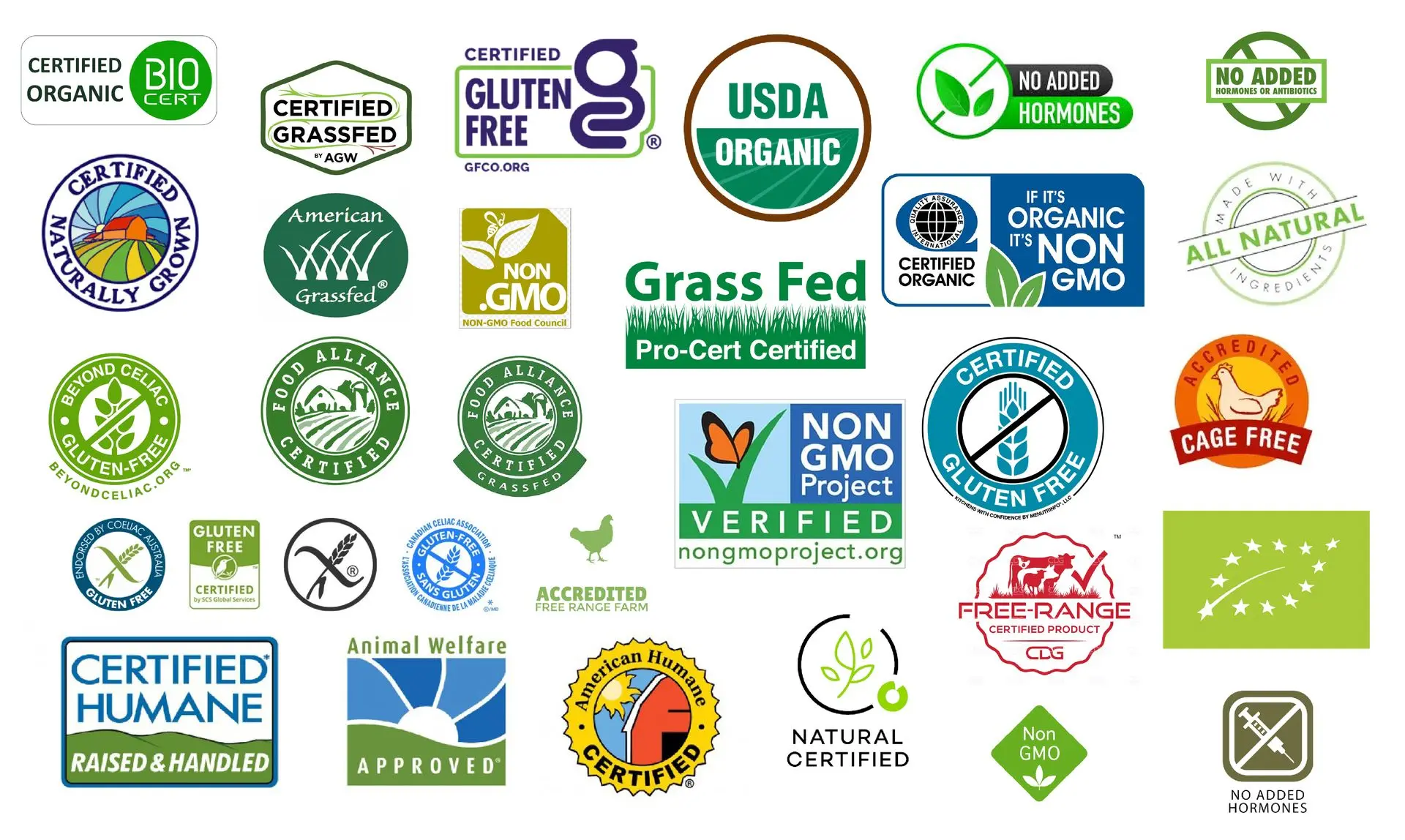 Clean label certifications Collection of food certifications